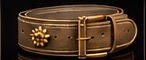 Damen Elegance